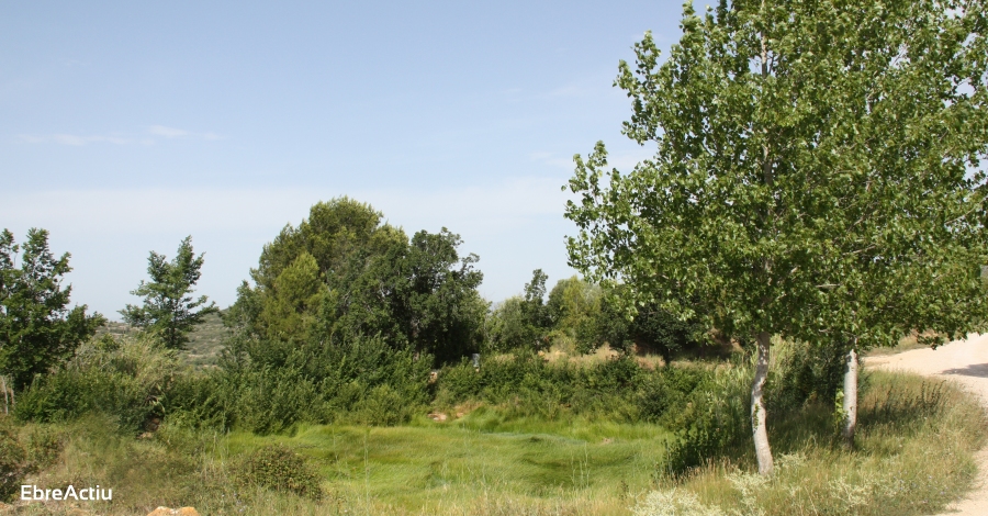 Godall | EbreActiu.cat, revista digital d’oci actiu | Terres de l’Ebre ...