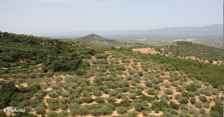 Godall | EbreActiu.cat, revista digital d’oci actiu | Terres de l’Ebre ...