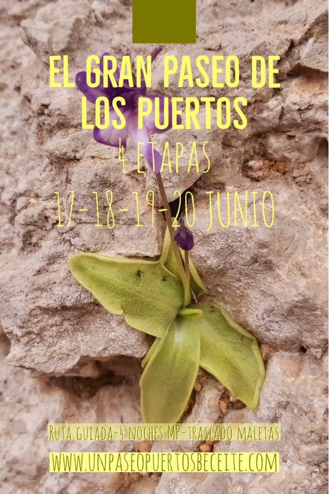 Ruta guiada de 4 etapes �El Gran Paseo de los Puertos�