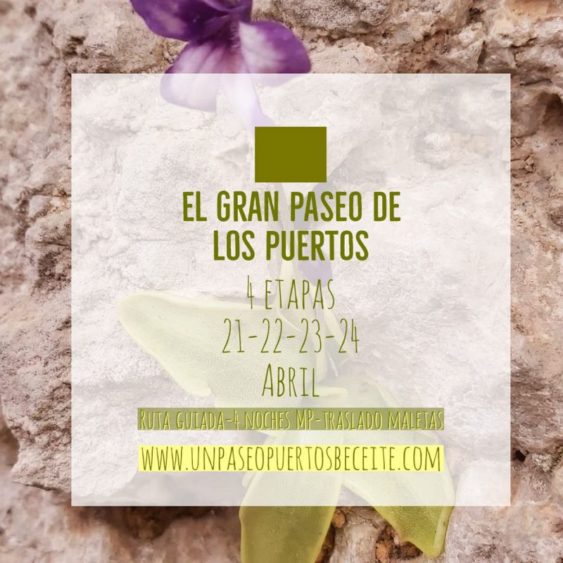 Ruta guiada de 4 etapes �El Gran Paseo de los Puertos�