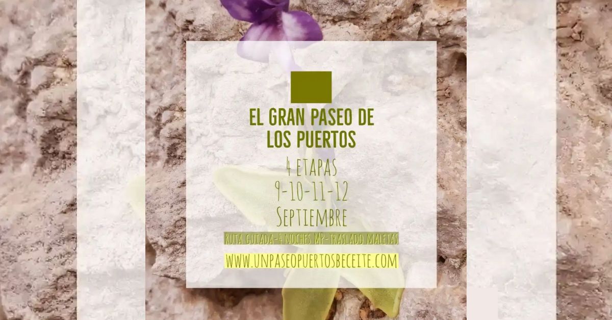 Ruta guiada en 4 etapas �El Gran Paseo de los Puertos�