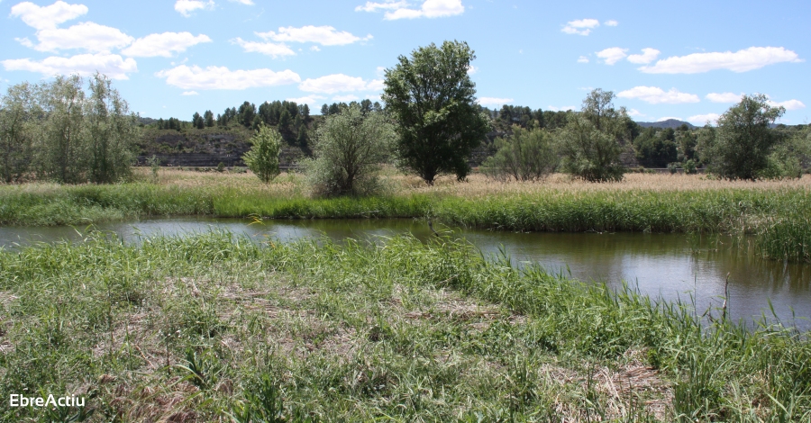 El Meandre de Flix i lIlla del Galatxo de Mra la Nova seleccionades per al projecte Biotram