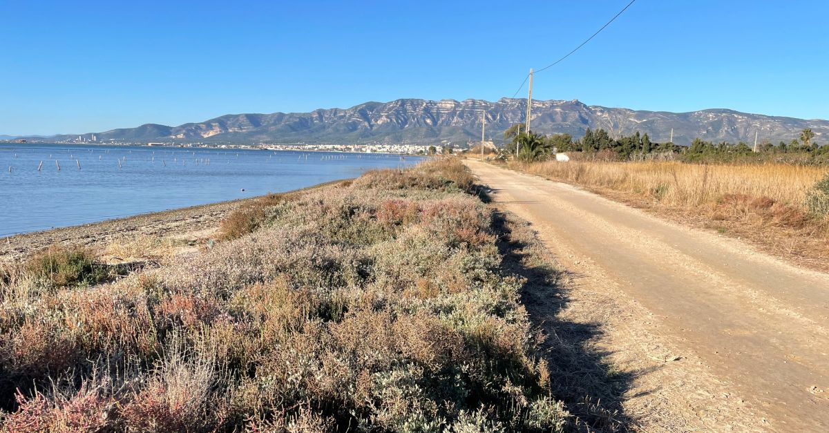 Les obres de la guarda de protecci de la badia dels Alfacs es faran a final d’any | EbreActiu.cat, revista digital d’oci actiu | Terres de l’Ebre ...