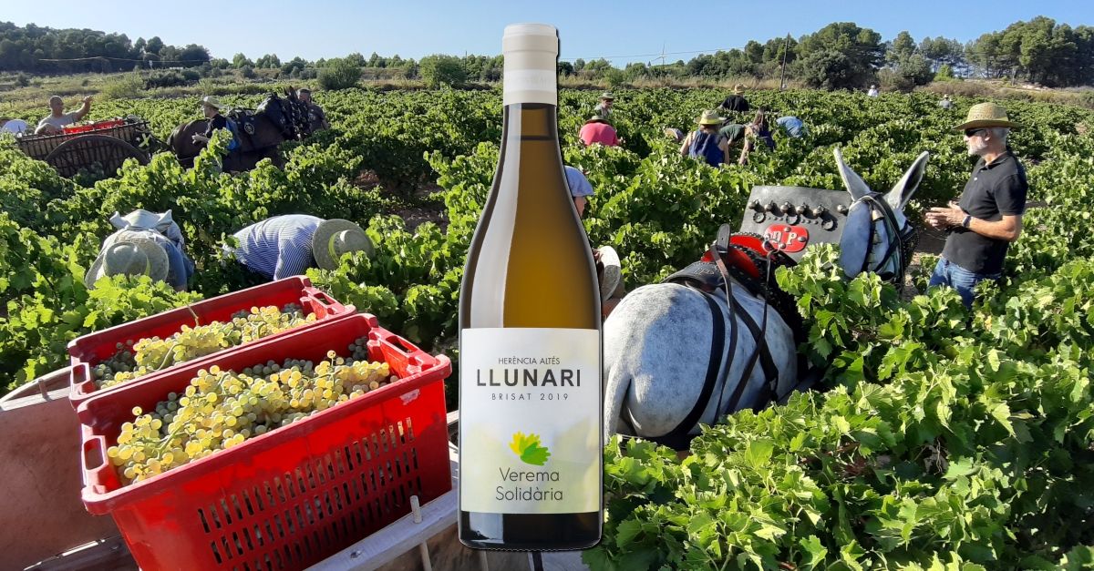 Herncia Alts presenta Llunari 2019, el vi de la Verema Solidria