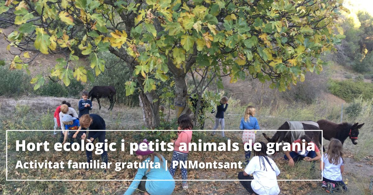 Huerto ecol�gico y peque�os animales de granja