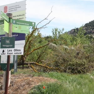 �lbum Convent de Sant Salvador d&rsquo;Horta de Sant Joan