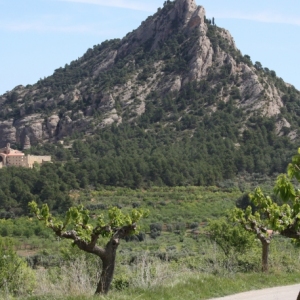 �lbum Convent de Sant Salvador d&rsquo;Horta de Sant Joan