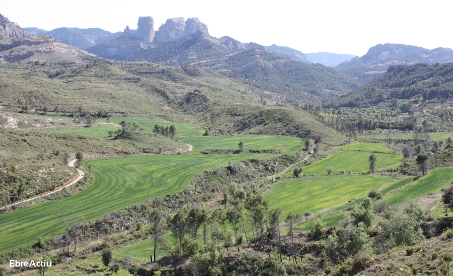 Horta de Sant Joan | EbreActiu.cat, revista digital d&rsquo;oci actiu | Terres de l&rsquo;Ebre ...