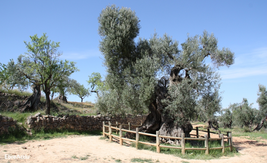 Horta de Sant Joan | EbreActiu.cat, revista digital de ocio activo | Terres de l&rsquo;Ebre...