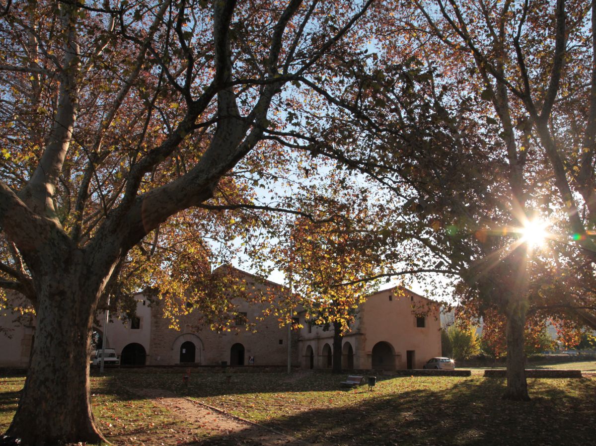 El territorio Human Land: un trepidante viaje hacia el medievo | EbreActiu.cat, revista digital de ocio activo | Terres de l’Ebre... El territorio Human Land: un trepidante viaje hacia el medievo | EbreActiu.cat, revista digital de ocio activo | Terres de l’Ebre...
