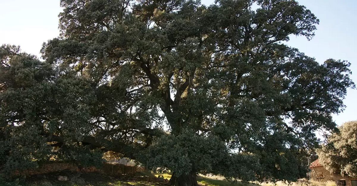 Mites i llegendes que expliquen la història de Human Land | EbreActiu.cat, revista digital d’oci actiu | Terres de l’Ebre ... Mites i llegendes que expliquen la història de Human Land | EbreActiu.cat, revista digital d’oci actiu | Terres de l’Ebre ...