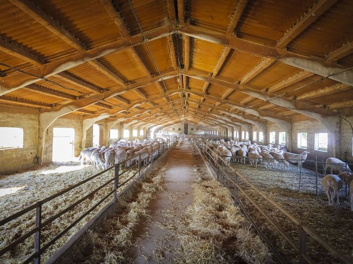 Human Land, el para�so para los amantes del queso | EbreActiu.cat, revista digital de ocio activo | Terres de l&rsquo;Ebre...