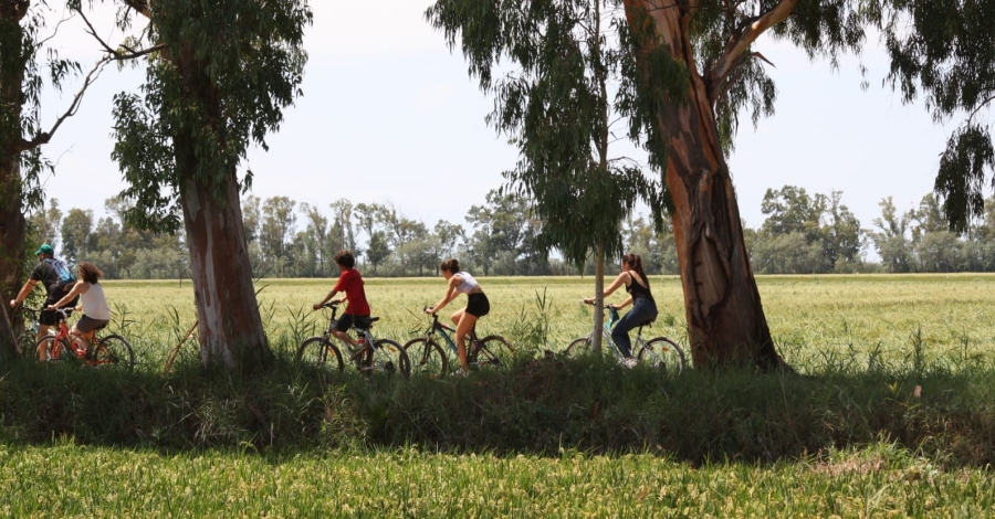 Buda & Bike, l’Illa de Buda a cop de pedal | EbreActiu.cat, revista digital d’oci actiu | Terres de l’Ebre ... Buda & Bike, l’Illa de Buda a cop de pedal | EbreActiu.cat, revista digital d’oci actiu | Terres de l’Ebre ...