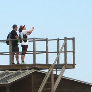 lbum: illa de Buda (delta de l’Ebre)