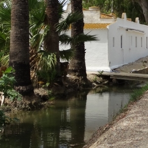 �lbum: illa de Buda (delta de l&rsquo;Ebre)