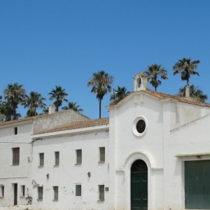 �lbum: isla de Buda (delta del Ebro)