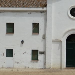 �lbum: isla de Buda (delta del Ebro)