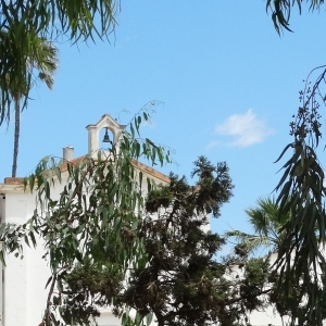 lbum: illa de Buda (delta de l’Ebre)