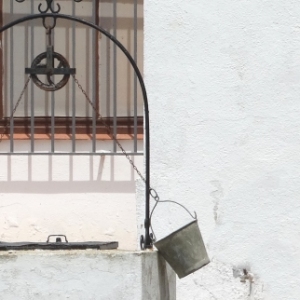 �lbum: isla de Buda (delta del Ebro)