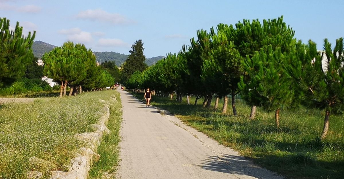 Sinstallar enllumenat a la Via Verda entre Tortosa i Roquetes