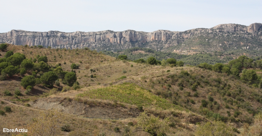 Les visites al Parc Natural de Montsant generen un impacte econmic directe a la zona de 4 M/ el 2019