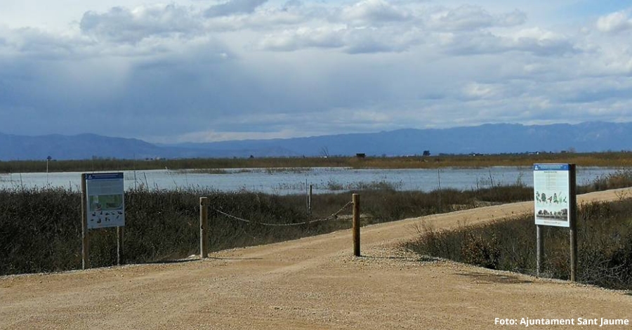 La finca del Viol torna a ser una zona humida