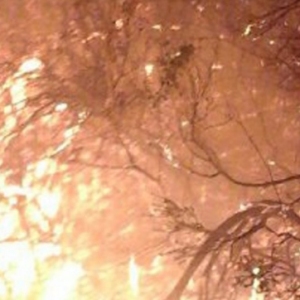 Un incendi crema al coll del Rajoler a Campred