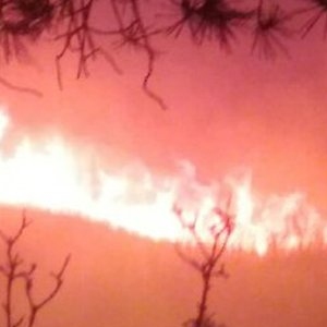 Un incendi crema al coll del Rajoler a Campred