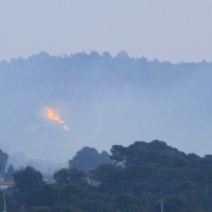 Un incendi crema al coll del Rajoler a Campred