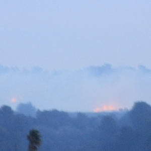 Un incendi crema al coll del Rajoler a Campred