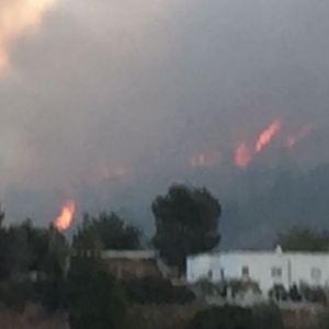 Un incendi crema al coll del Rajoler a Campred