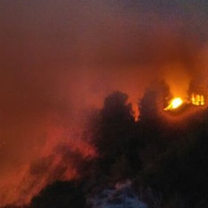 Un incendi crema al coll del Rajoler a Campred