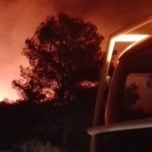 Un incendi crema al coll del Rajoler a Campred