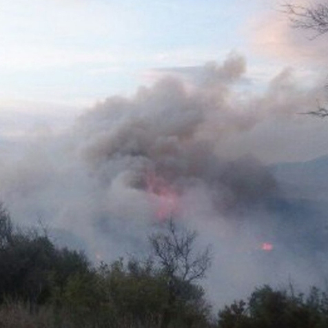 Un incendi crema al coll del Rajoler a Campred