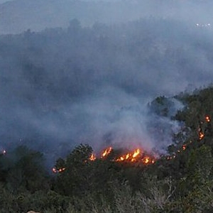 Un incendi crema al coll del Rajoler a Campred