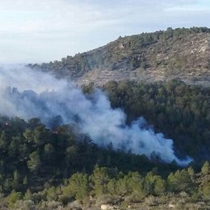 Un incendi crema al coll del Rajoler a Campred�