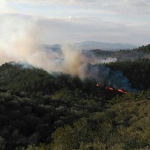 Un incendi crema al coll del Rajoler a Campred