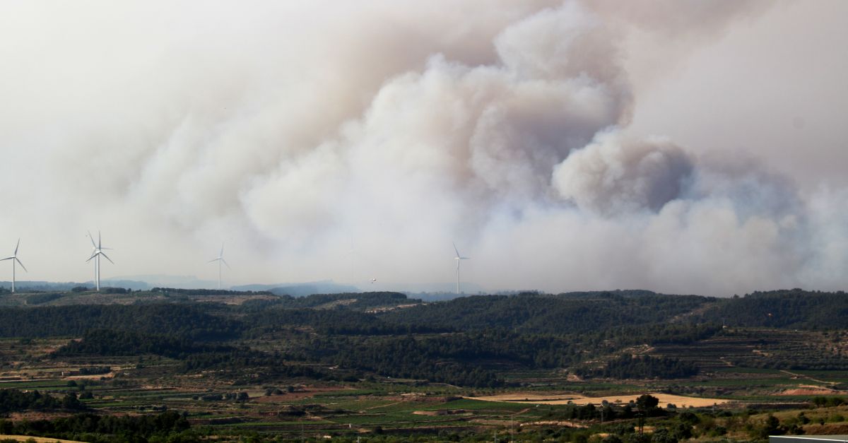 Lincendi de Corbera dEbre afecta unes 300 hectrees amb un potencial de 8.000, segons els Bombers