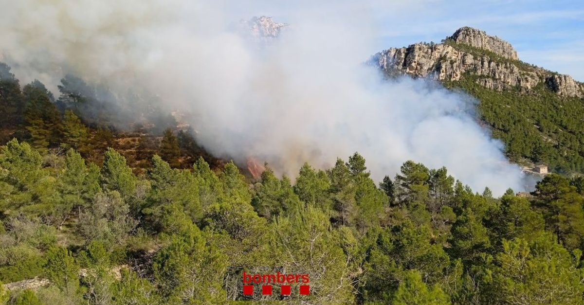 21 dotacions dels Bombers treballen per apagar un foc envoltat de camps entre Xerta i Pals