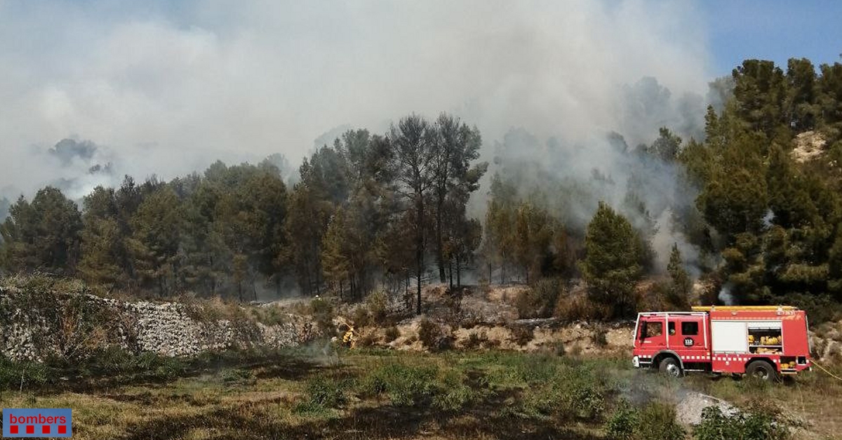 Una vintena de dotacions dels Bombers treballen en l’extinci d’un incendi de vegetaci a Miravet