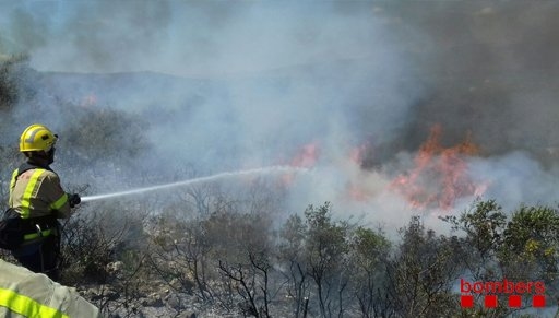 Un incendi crema 1,5 Ha al Montsianell (Amposta) | EbreActiu.cat, revista digital d&rsquo;oci actiu | Terres de l&rsquo;Ebre ...