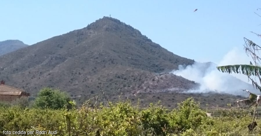 Un incendi crema 1,5 Ha al Montsianell (Amposta)