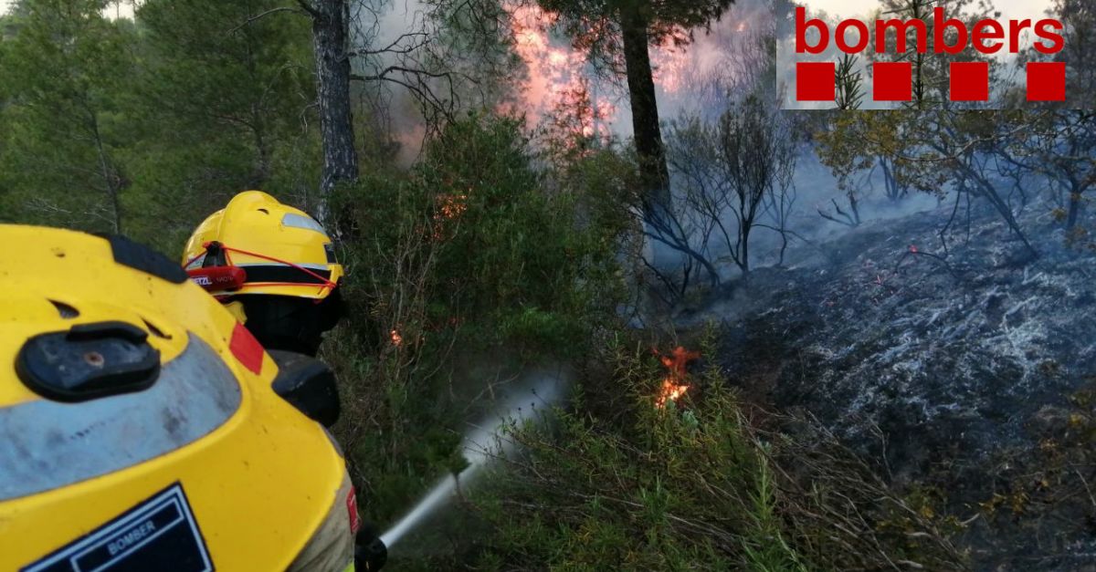 L’incendi de Mra d’Ebre crema 4 hectrees de terreny forestal dins l’espai protegit de les serres de Pndols i Cavalls