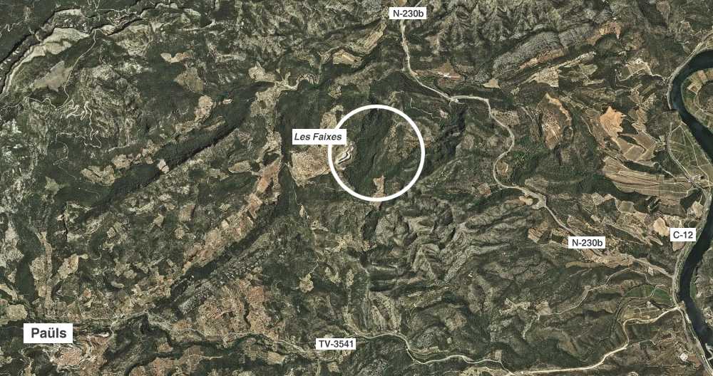 Incendi a Pa�ls a la zona de les Faixes (estabilitzat) | EbreActiu.cat, revista digital de ocio activo | Terres de l&rsquo;Ebre...