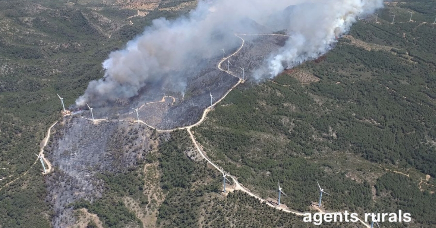 Lincendi del Perell ja afecta 100 Ha de vegetaci forestal