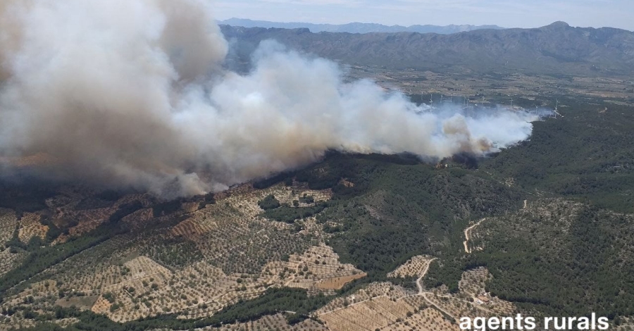 L’incendi del Perell ja afecta 100 Ha de vegetaci forestal | EbreActiu.cat, revista digital d’oci actiu | Terres de l’Ebre ...