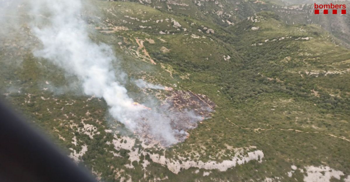 Els bombers treballen en un incendi de vegetaci forestal a la serra del Montsi