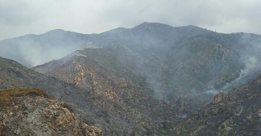 L�incendi de Tivenys queda estabilitzat amb 107 hect�rees cremades