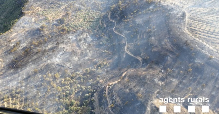 Els Bombers han treballat durant la nit amb 80 dotacions terrestres en lincendi de la Ribera dEbre