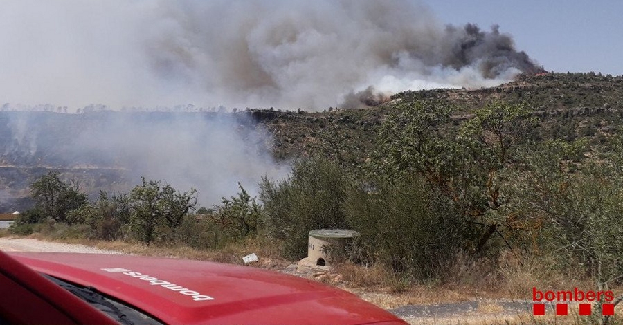 Declarat un incendi entre la Torre de l’Espanyol i Vinebre | EbreActiu.cat, revista digital d’oci actiu | Terres de l’Ebre ... Declarat un incendi entre la Torre de l’Espanyol i Vinebre | EbreActiu.cat, revista digital d’oci actiu | Terres de l’Ebre ...